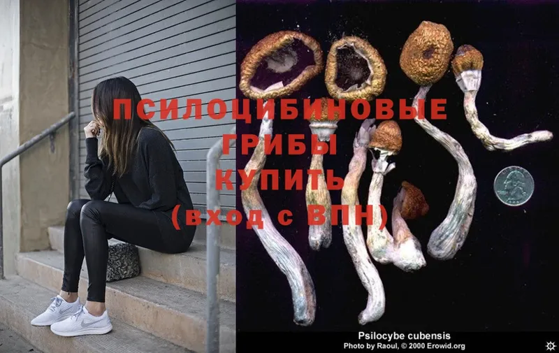 Галлюциногенные грибы MAGIC MUSHROOMS  Мариинский Посад 